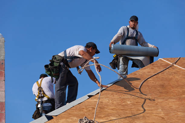 Best Roof Gutter Cleaning  in Mcpherson, KS